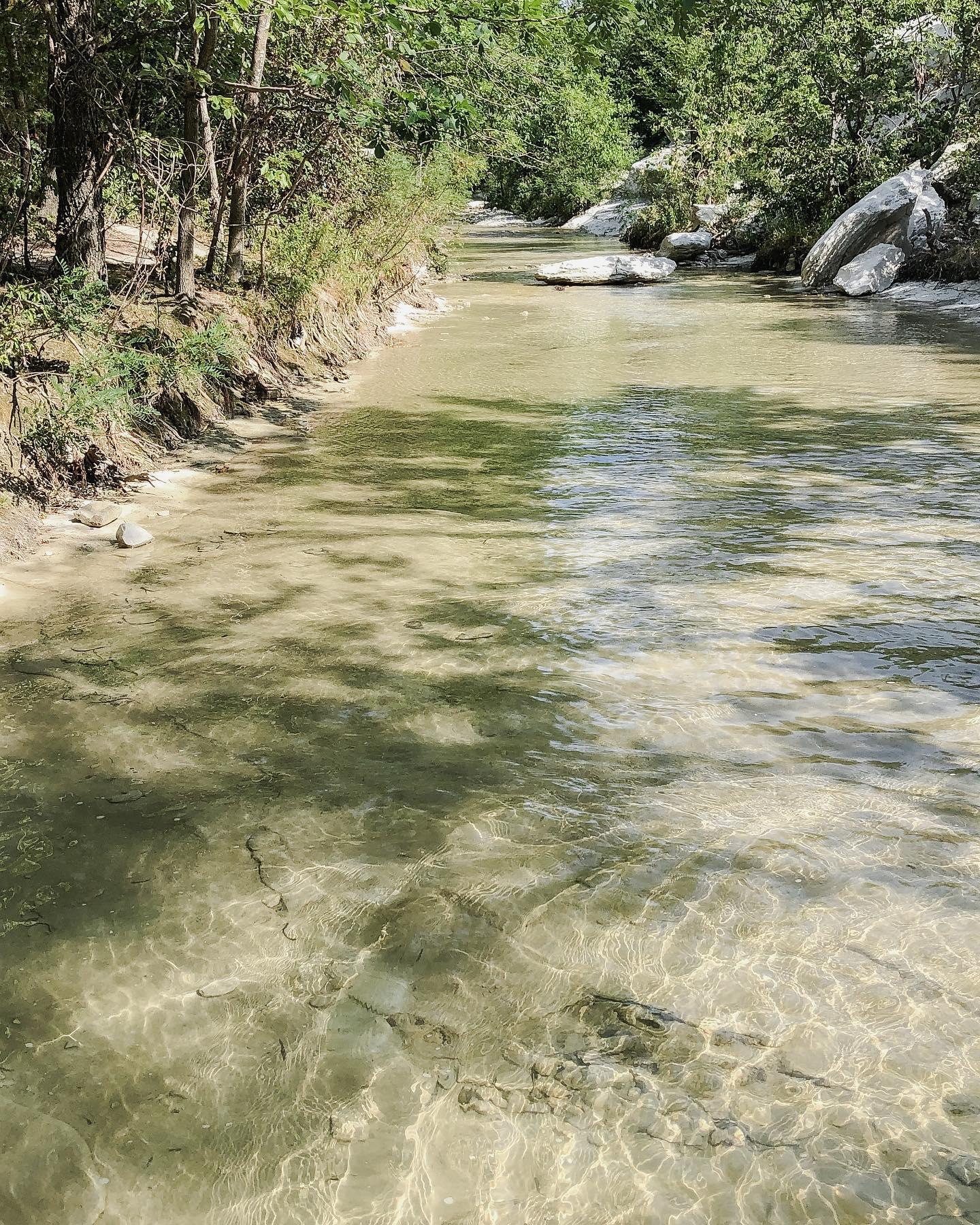 A body of shallow water.