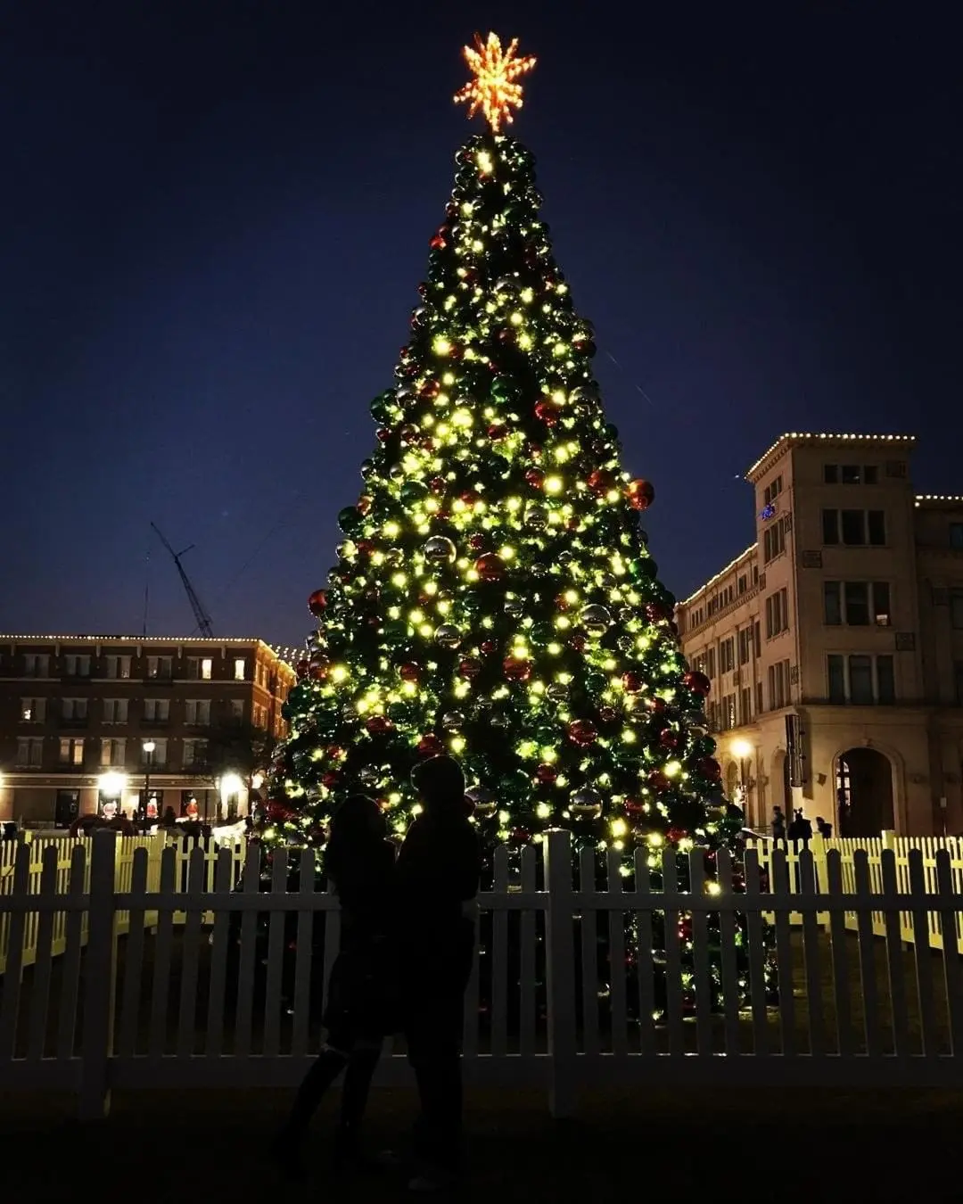 a couple hugging at night in front of a lit up christmas tree