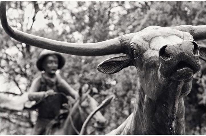 black and white bull statue